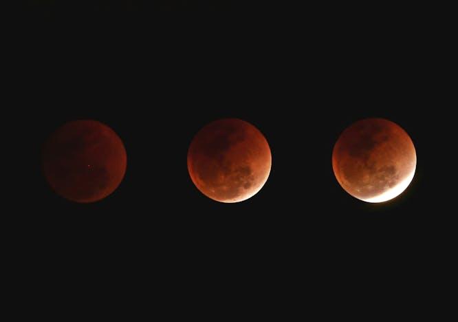 nature night outdoors astronomy moon eclipse lunar eclipse